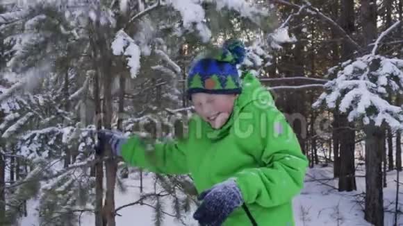 嬉笑少年摇雪树冬林降雪在松树下下雪的快乐男孩视频的预览图