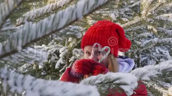 白雪皑皑的冬天背景下美丽的年轻女子手捧甘蔗糖一个漂亮的少女在寻找两个视频的预览图