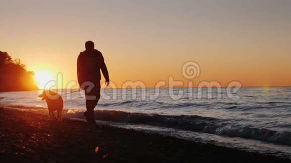 日落时一个孤独的人和一只狗在湖边或海边散步前视图慢动作视频视频的预览图