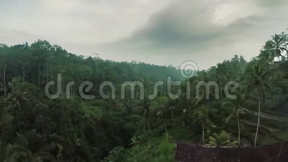 鸟瞰印尼巴厘岛戏剧性丛林视频的预览图