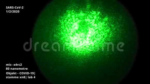 Covid19电子激光显微镜研究视频的预览图