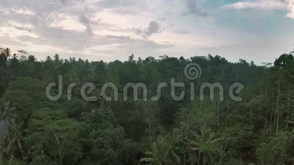 鸟瞰印尼巴厘岛戏剧性丛林视频的预览图