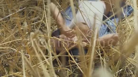 可爱的女人穿着紧身衣短发躺在麦田里女孩喜欢自然看和摆姿势视频的预览图