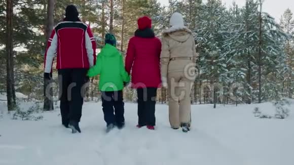 带着两个孩子在冬季森林里散步的家庭的背面景色视频的预览图