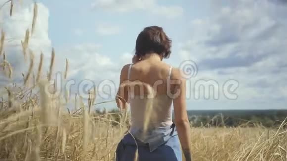 时髦的女人穿着紧身衣短发抚摸着黄色的麦穗穿过麦田相机视频的预览图