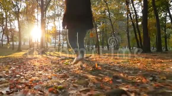 日落时美丽的女孩在公园里散步美丽如画的地方有摄像头慢动作视频的预览图
