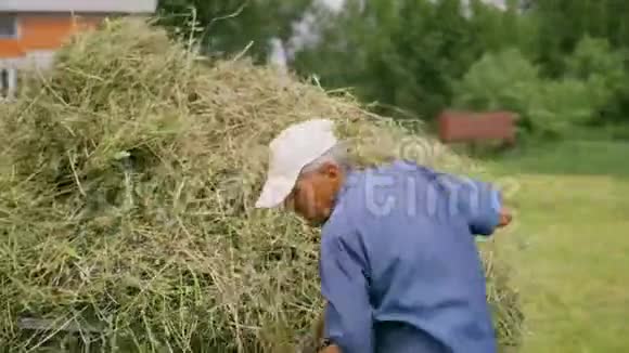 一位老人用草叉把干草扔到拖拉机拖车上为牛收割干草过冬视频的预览图