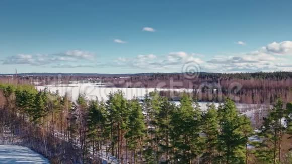 飞越冬季森林和郊区视频的预览图