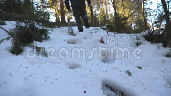 模糊的不可辨认的人爬上雪坡在早晨冬天在山林中散步的年轻徒步旅行者视频的预览图