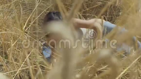 技术女人穿着紧身衣短发躺在麦田里女孩喜欢自然看和摆姿势视频的预览图