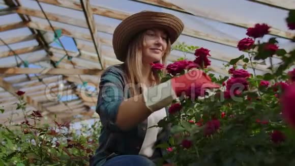 美丽的女人花店穿着围裙和粉红色手套站着在温室里和花一起快乐地工作视频的预览图