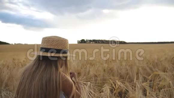 戴着草帽的小孩子在阴天坐在麦田里玩麦片小穗一个小女孩视频的预览图