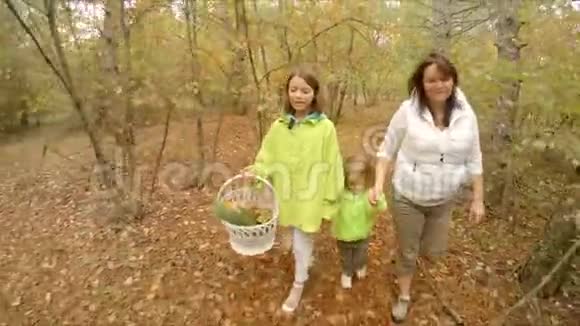 一家人在森林里采蘑菇视频的预览图