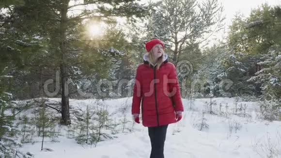 圣诞假期穿着红色衣服戴着帽子的年轻女子在白雪森林里散步快乐的少年女孩在颤抖视频的预览图