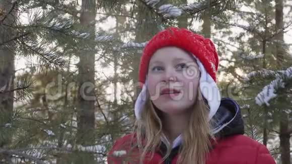 快乐的年轻女子在白雪皑皑的冬林中享受着节日散步的热茶戴着红帽子喝酒的美女视频的预览图