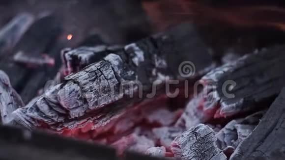 烬燃烧的柴火和灰烬火花在风中烧烤在火中视频的预览图