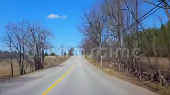 运动在春日期间驾驶乡村森林司机的观点POV沿着美丽的阳光林地树木视频的预览图