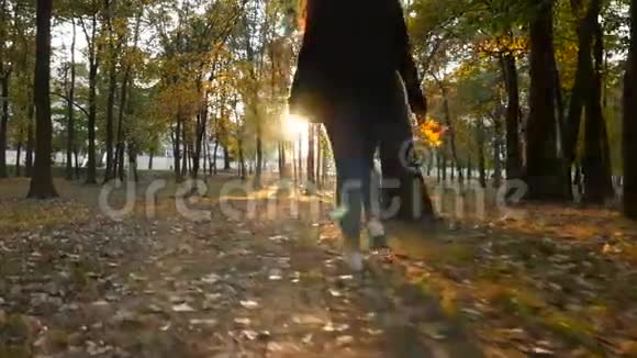 一个女孩走在公园里手里拿着黄叶美丽的日落很美的地方相机在动慢慢视频的预览图