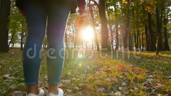 一个女孩走过一个美丽的公园手里拿着树叶秋天的风景日落时阳光灿烂相机视频的预览图