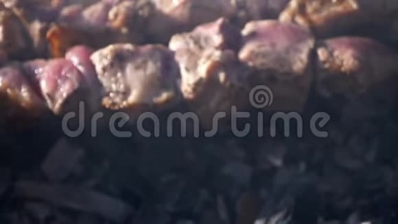 特写镜头在烟雾中的煤上烧烤野餐视频的预览图