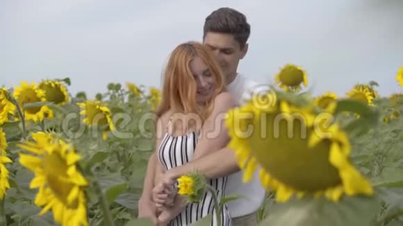美丽幸福的情侣拥抱在向日葵地上姜汁女孩和她的男朋友在户外休息与视频的预览图