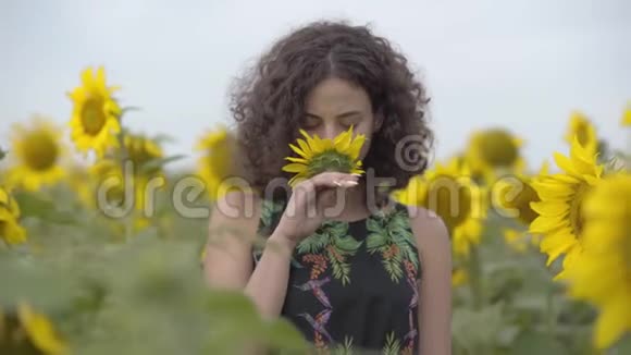美丽的卷发女孩的肖像微笑着看着镜头用小向日葵遮住她的眼睛视频的预览图