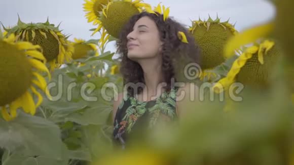 可爱的有趣的卷曲的嬉戏的性感的女人站在向日葵领域的肖像明亮的黄色自由视频的预览图