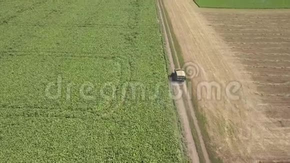 全景从无人驾驶飞机上方的农田与移动卡车沿着土路视频的预览图