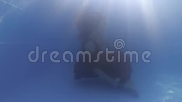 一束束光穿过水面年轻女子在水下游泳4K视频的预览图