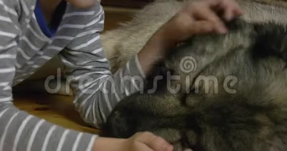 男孩把一只睡着的狗撞到头上把头放在她的脖子上视频的预览图