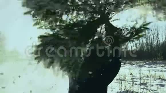 一个人把一棵倒下的树扭转过来在一片冬日的田野上在太阳的背景下和它一起跳舞视频的预览图