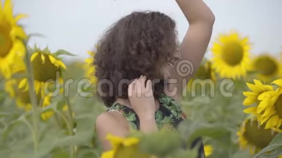 漂亮的卷发女人在向日葵花场上玩得很开心明亮的黄色自由概念户外快乐的女人慢慢视频的预览图