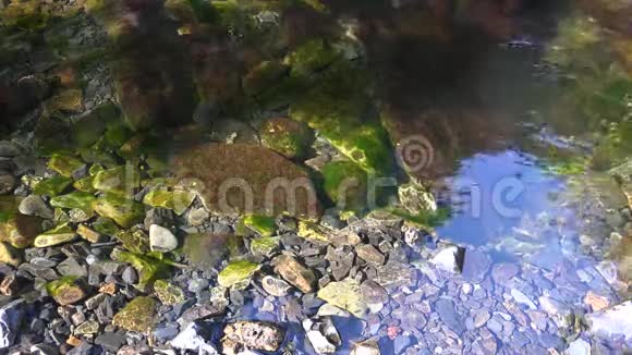 在美丽的哈兹山上岩石上有藻类和阳光明媚的水面有镜面反射视频的预览图