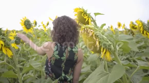 可爱的卷发女人走在向日葵的田野上明亮的黄色自由概念户外快乐的女人慢慢视频的预览图