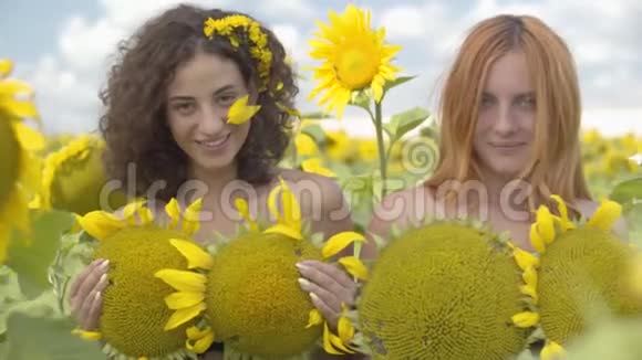 两个自信可爱的女孩看着相机微笑着站在向日葵田上用向日葵覆盖着身体视频的预览图