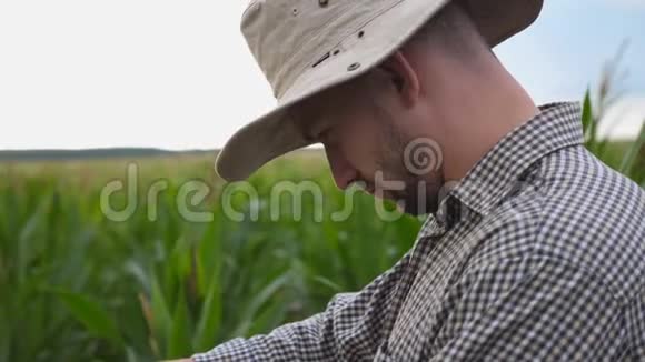 一位年轻的农民在玉米地上检查向日葵站在玉米种植场的男工视频的预览图