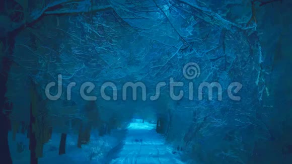 冬季森林和降雪4K动画中雪树的弧线视频的预览图