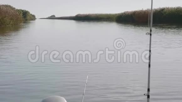 河道水面景观河两岸干芦苇清晨的阳光视频的预览图