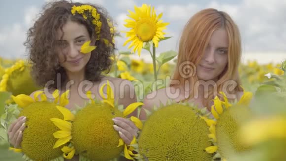 两个可爱的女孩看着相机微笑地站在向日葵的田野上用向日葵覆盖着身体明亮明亮视频的预览图