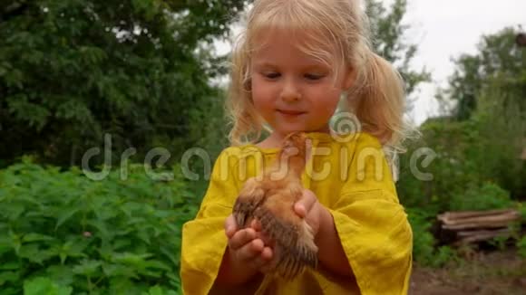 小女孩手里拿着一只小鸡视频的预览图