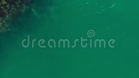 拍摄者乘坐相机飞越了悬崖峭壁和沙滩令人难以置信的海湾视频的预览图