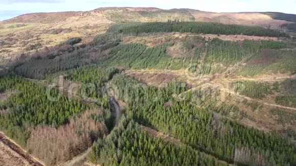 飞越森林靠近爱尔兰唐格尔郡的格伦蒂斯镇视频的预览图