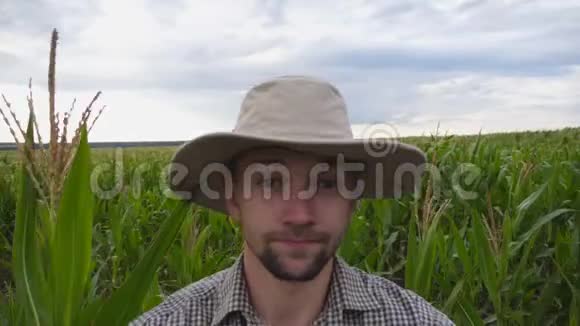微笑工人的男性面部POV在玉米种植园中进行自拍戴帽子射击的年轻快乐农夫视频的预览图