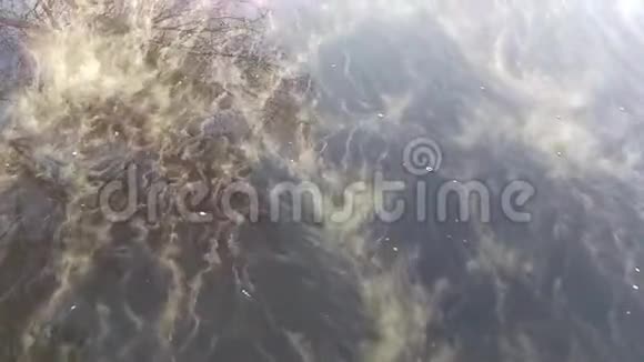 一缕缕雾气在水面上飞舞视频的预览图