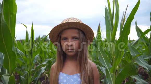 戴着草帽的小女孩在有机农场的玉米地背景下看镜头的肖像视频的预览图