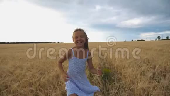 一个长着金色长发的快乐女孩通过大麦地跑到镜头前带着微笑的小孩慢跑视频的预览图