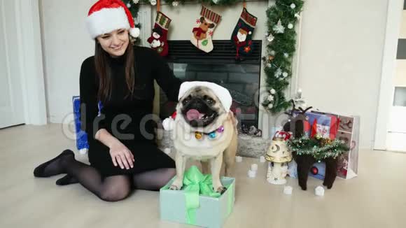 带圣诞礼物的搞笑小狗女主人戴着圣诞老人的帽子新年和圣诞节视频的预览图
