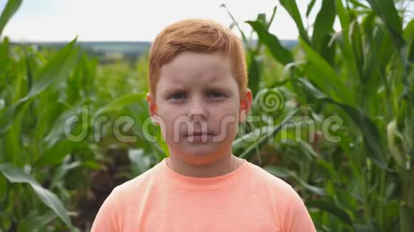 一幅年轻严肃的红发男孩在玉米地模糊的背景下看着镜头的肖像小孩小孩视频的预览图