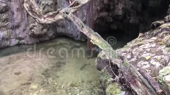 阿芙罗狄蒂塞浦路斯自然公园洗澡视频的预览图