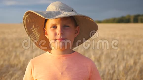 英俊的微笑男孩在有机农场的大麦地模糊的背景下看着镜头肖像视频的预览图